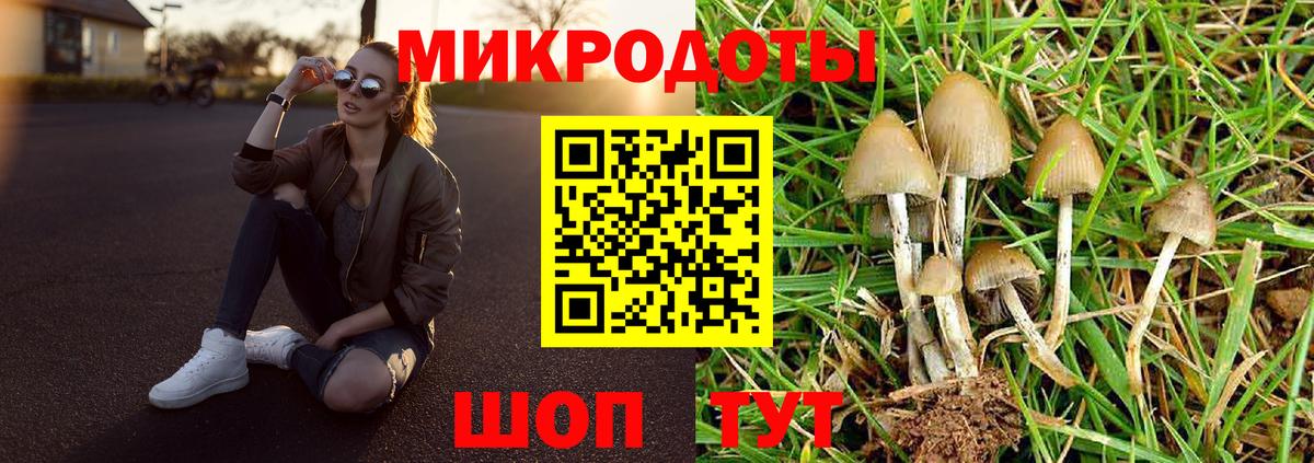 Искитим  Псилоцибиновые грибы мухоморы  Псилоцибиновые грибы MAGIC MUSHROOMS  Вход с VPN 